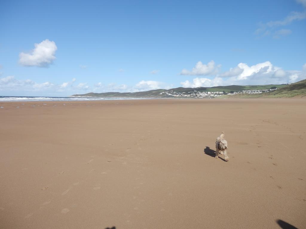 Ocean Backpackers Self-Catering Hostel Ilfracombe Buitenkant foto
